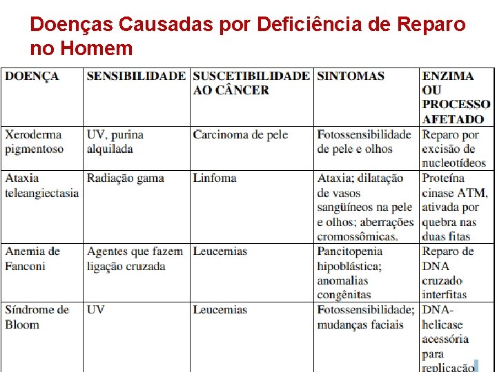 slidetodoc com