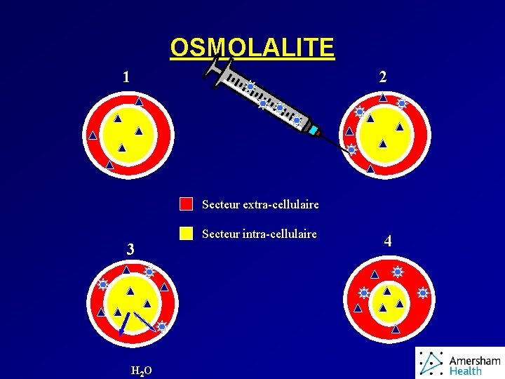 OSMOLALITE 1 2 Secteur extra-cellulaire 3 H 2 O Secteur intra-cellulaire 4 