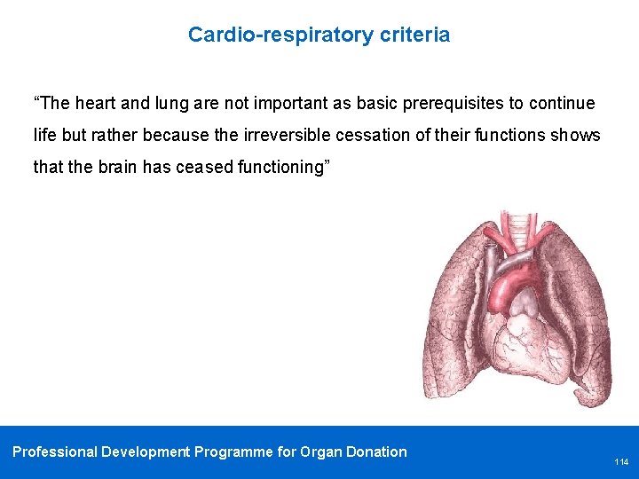 Cardio-respiratory criteria “The heart and lung are not important as basic prerequisites to continue