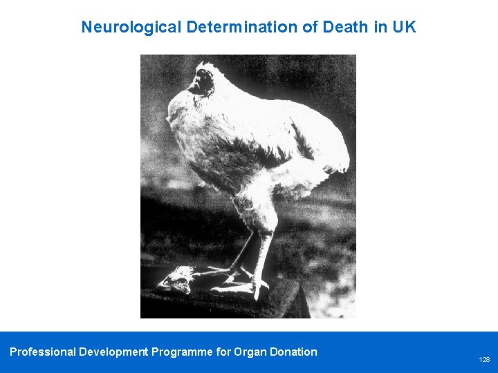 Neurological Determination of Death in UK Professional Development Programme for Organ Donation 128 