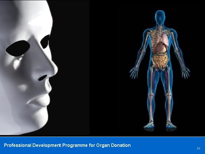 Professional Development Programme for Organ Donation 31 