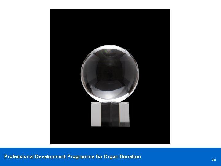 Professional Development Programme for Organ Donation 53 