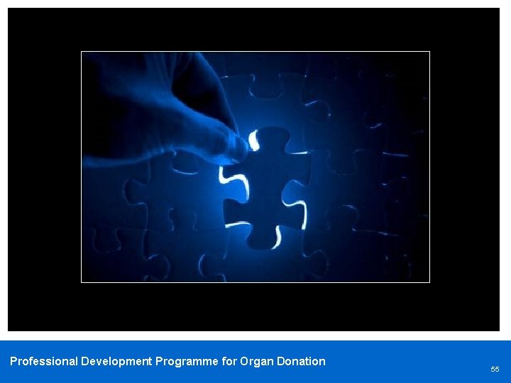 Professional Development Programme for Organ Donation 55 