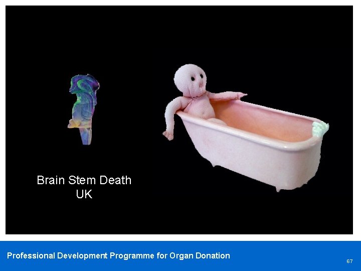 Brain Stem Death UK Professional Development Programme for Organ Donation 67 