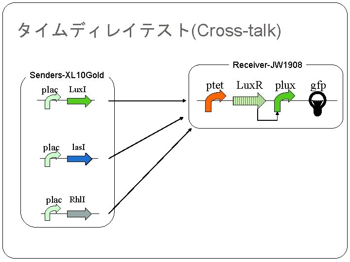 タイムディレイテスト(Cross-talk) Receiver-JW 1908 Senders-XL 10 Gold plac Lux. I plac las. I plac Rhl.