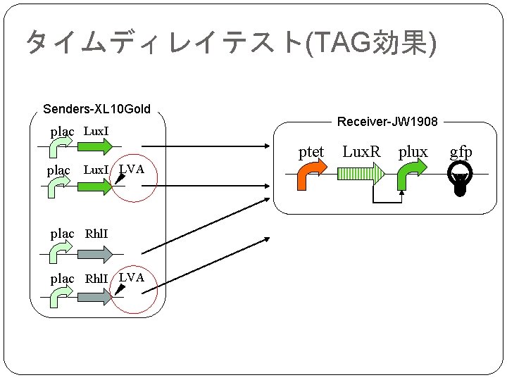 タイムディレイテスト(TAG効果) Senders-XL 10 Gold Receiver-JW 1908 plac Lux. I ptet plac Lux. I LVA