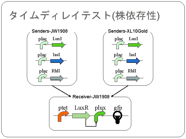 タイムディレイテスト(株依存性) Senders-JW 1908 Senders-XL 10 Gold plac Lux. I plac las. I plac Rhl.