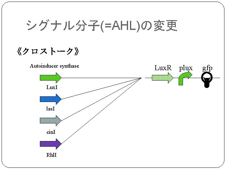 シグナル分子(=AHL)の変更 《クロストーク》 Autoinducer synthase Lux. I las. I cin. I Rhl. I Lux. R