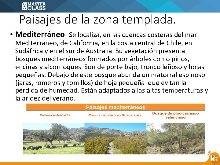 Paisajes de la zona templada. • Mediterráneo: Se localiza, en las cuencas costeras del