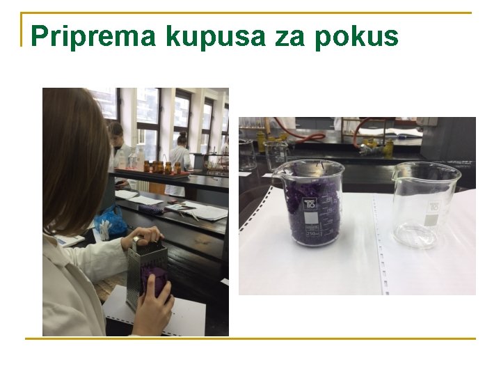 Priprema kupusa za pokus 