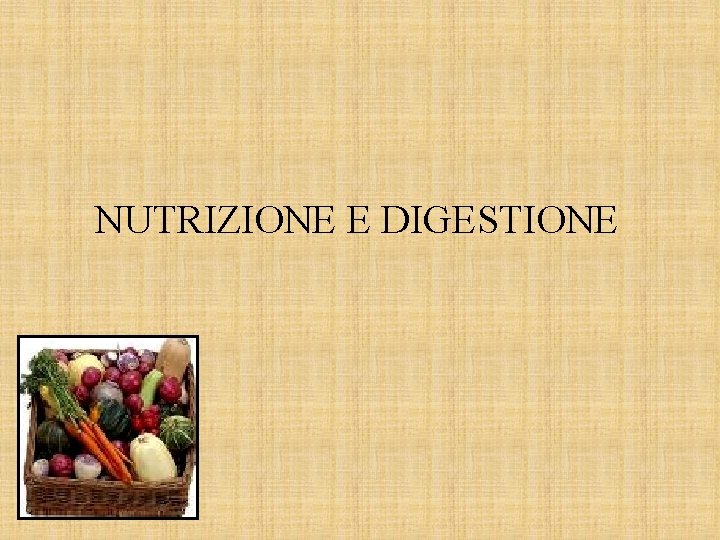 NUTRIZIONE E DIGESTIONE 