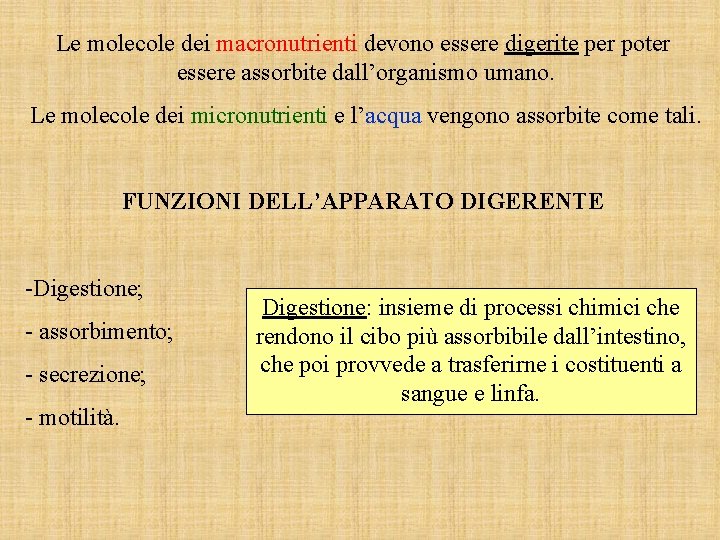 Le molecole dei macronutrienti devono essere digerite per poter essere assorbite dall’organismo umano. Le