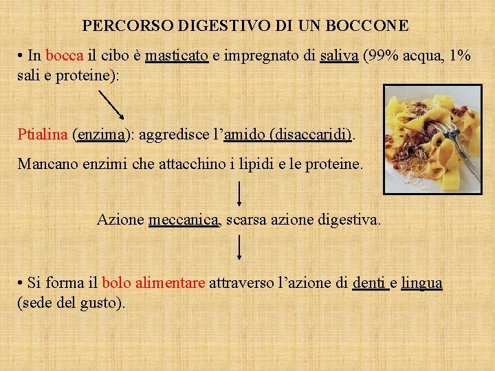 PERCORSO DIGESTIVO DI UN BOCCONE • In bocca il cibo è masticato e impregnato