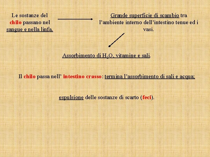 Le sostanze del chilo passano nel sangue e nella linfa. Grande superficie di scambio