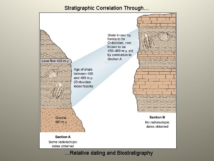 Stratigraphic Correlation Through… …Relative dating and Biostratigraphy 