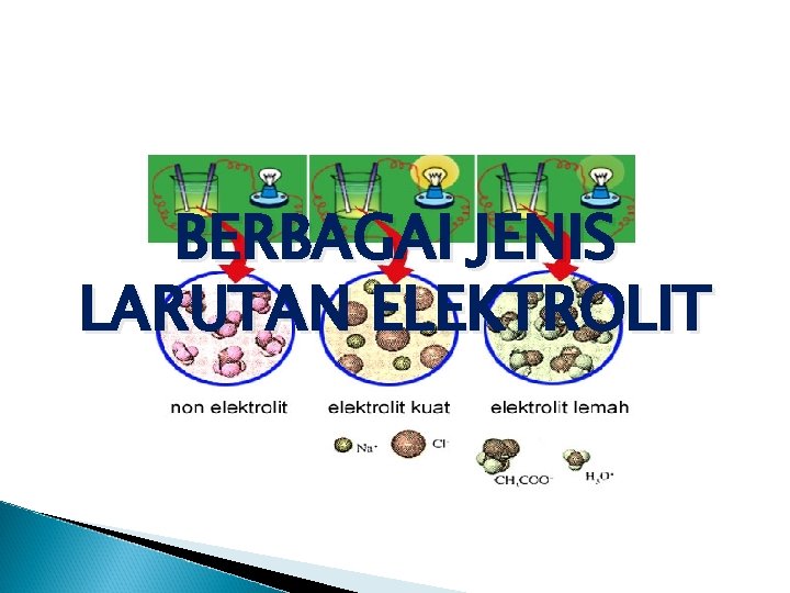 BERBAGAI JENIS LARUTAN ELEKTROLIT 