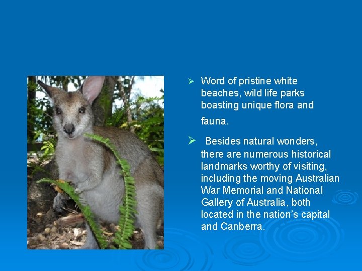 Ø Word of pristine white beaches, wild life parks boasting unique flora and fauna.