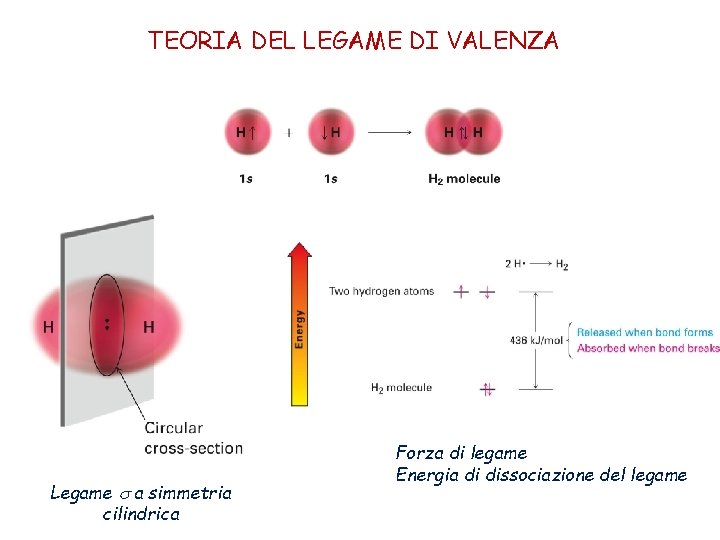 TEORIA DEL LEGAME DI VALENZA Legame s a simmetria cilindrica Forza di legame Energia