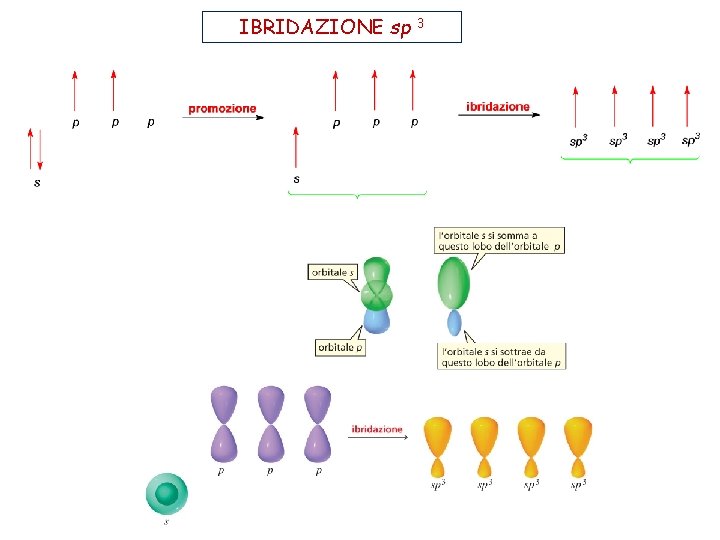 IBRIDAZIONE sp 3 