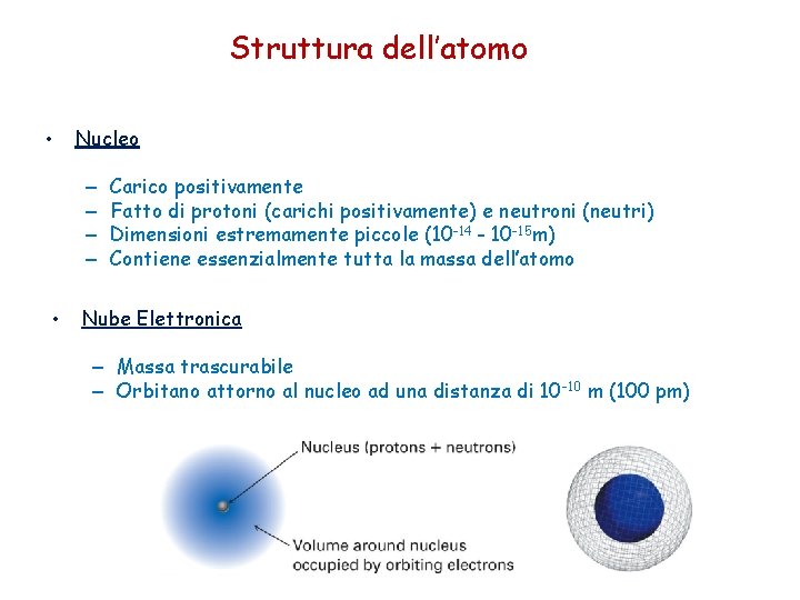 Struttura dell’atomo • Nucleo – – • Carico positivamente Fatto di protoni (carichi positivamente)