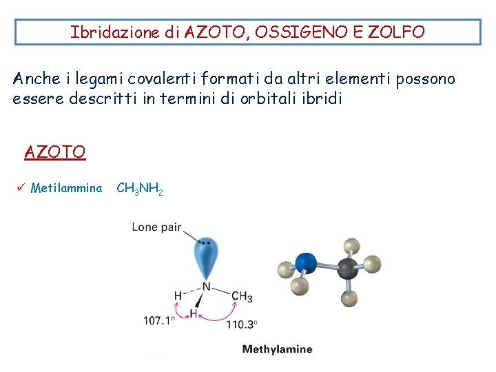 Ibridazione di AZOTO, OSSIGENO E ZOLFO Anche i legami covalenti formati da altri elementi