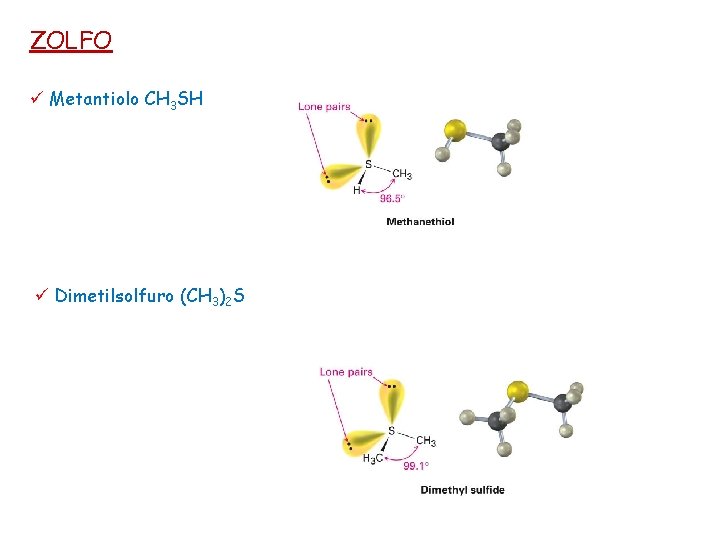 ZOLFO ü Metantiolo CH 3 SH ü Dimetilsolfuro (CH 3)2 S 