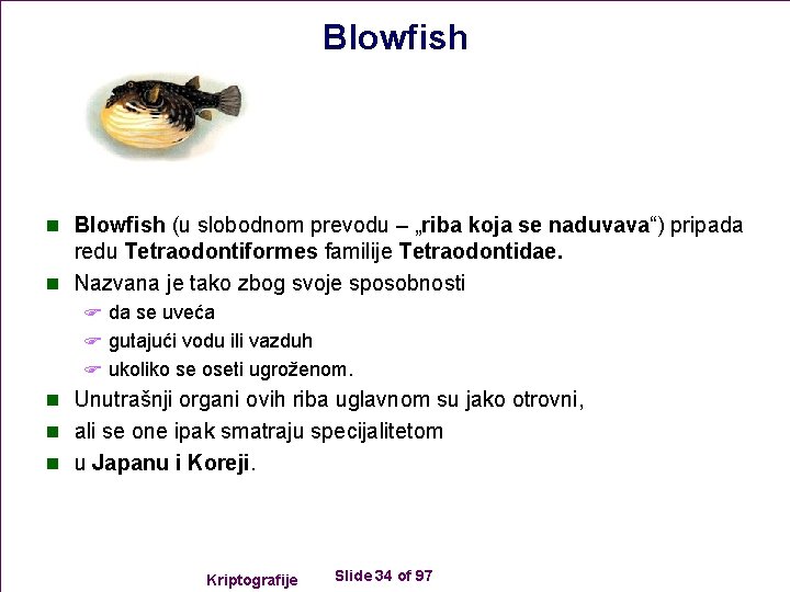Blowfish n Blowfish (u slobodnom prevodu – „riba koja se naduvava“) pripada redu Tetraodontiformes
