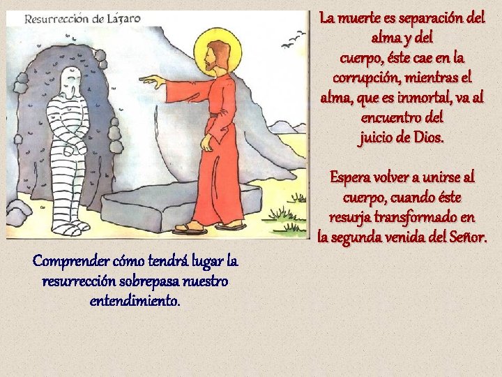 La muerte es separación del alma y del cuerpo, éste cae en la corrupción,