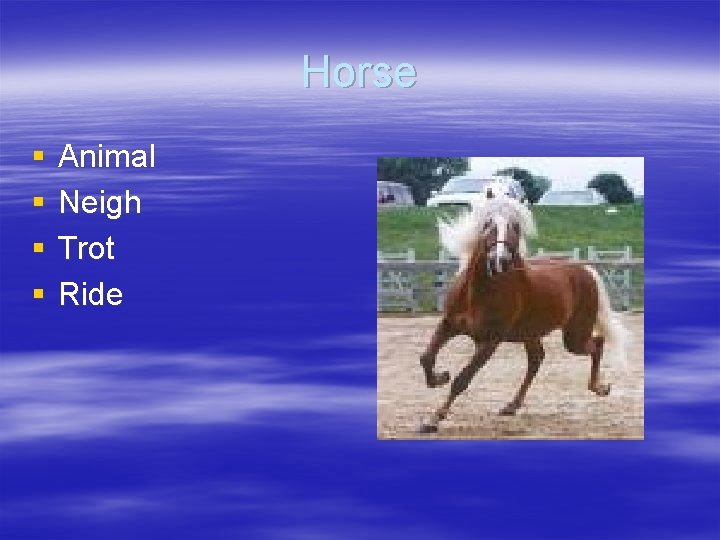 Horse § § Animal Neigh Trot Ride Horse § § Animal Neigh Trot Ride