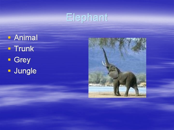 Elephant § § Animal Trunk Grey Jungle Elephant § § Animal Trunk Grey Jungle