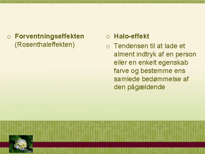o Forventningseffekten (Rosenthaleffekten) o Halo-effekt o Tendensen til at lade et alment indtryk af