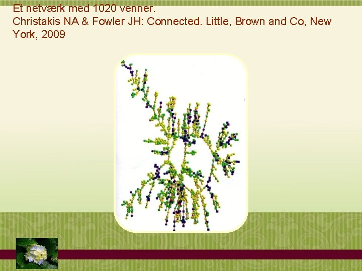 Et netværk med 1020 venner. Christakis NA & Fowler JH: Connected. Little, Brown and