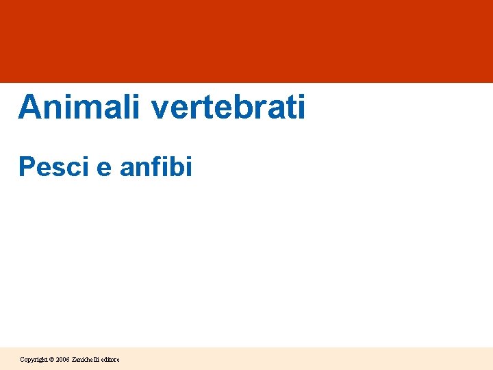 Animali vertebrati Pesci e anfibi Copyright © 2006 Zanichelli editore 