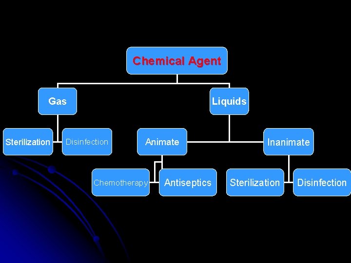 Chemical Agent Gas Sterilization Liquids Disinfection Animate Chemotherapy Antiseptics Inanimate Sterilization Disinfection 