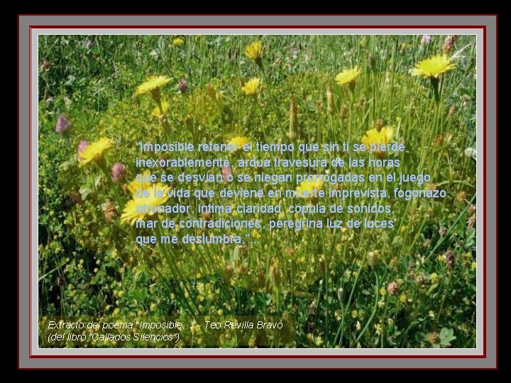 “Imposible retener el tiempo que sin ti se pierde inexorablemente, ardua travesura de las