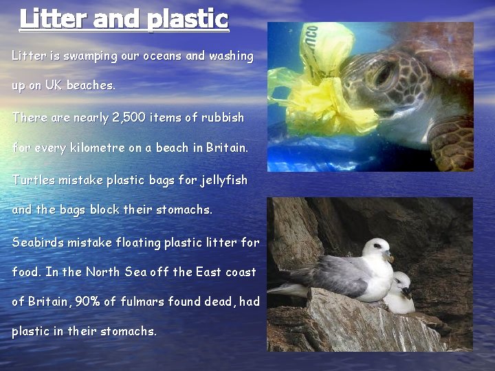 Litter and plastic Litter is swamping our oceans and washing up on UK beaches.