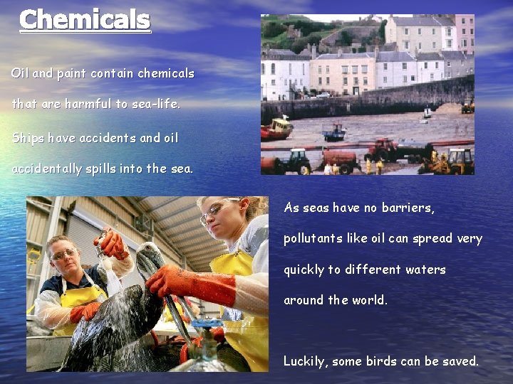 Chemicals Oil and paint contain chemicals that are harmful to sea-life. Ships have accidents