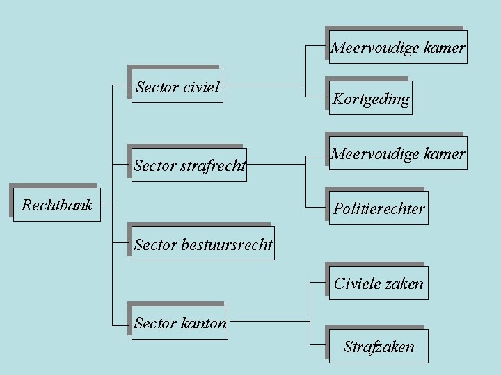 Meervoudige kamer Sector civiel Sector strafrecht Rechtbank Kortgeding Meervoudige kamer Politierechter Sector bestuursrecht Civiele