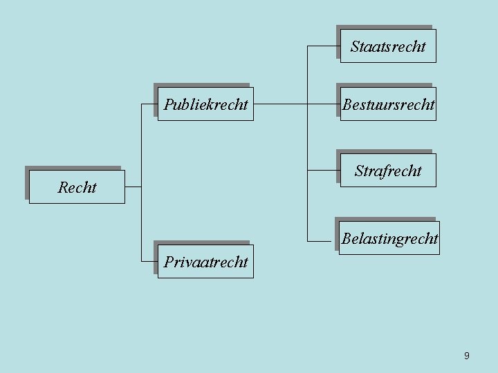 Staatsrecht Publiekrecht Bestuursrecht Strafrecht Recht Belastingrecht Privaatrecht 9 