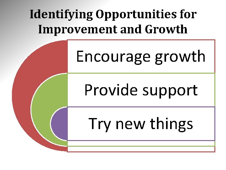 Identifying Opportunities for Improvement and Growth Encourage growth Provide support Try new things 