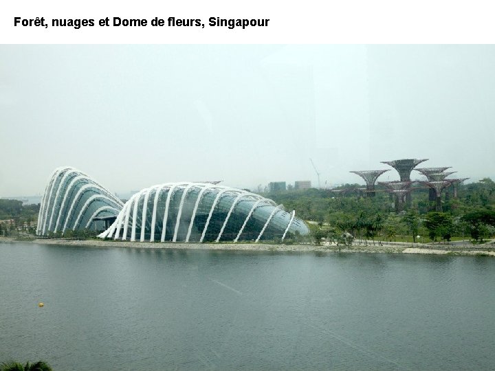 Forêt, nuages et Dome de fleurs, Singapour 