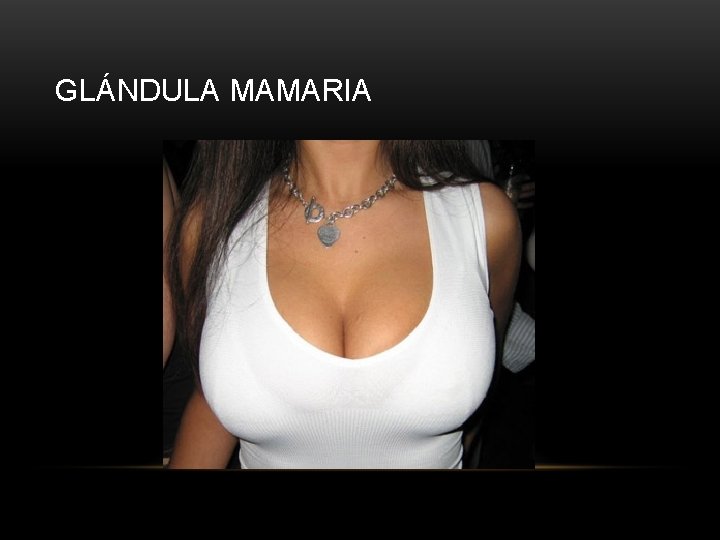 GLÁNDULA MAMARIA 