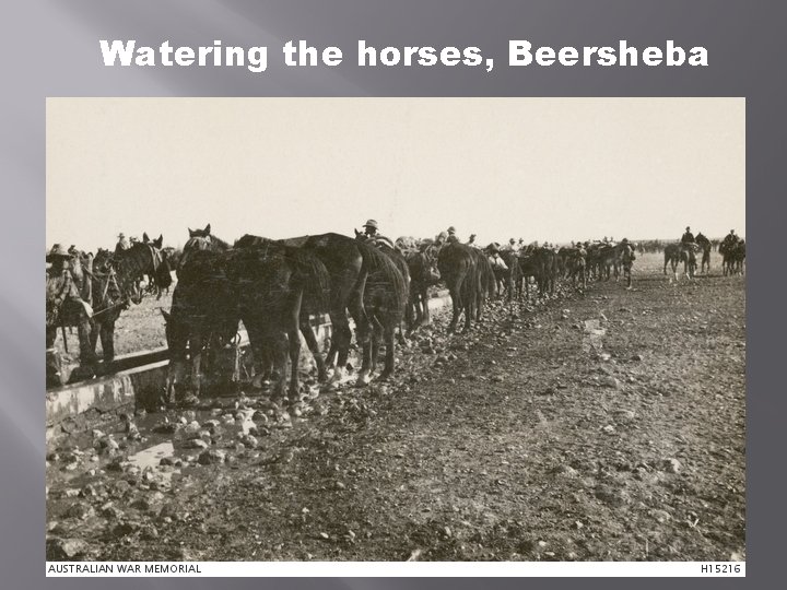 Watering the horses, Beersheba 