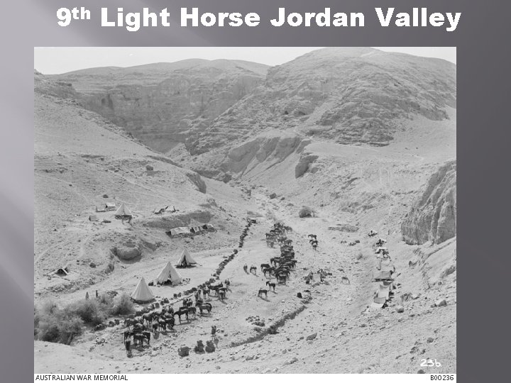 9 th Light Horse Jordan Valley 