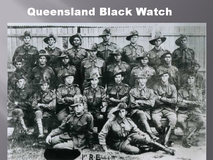Queensland Black Watch 
