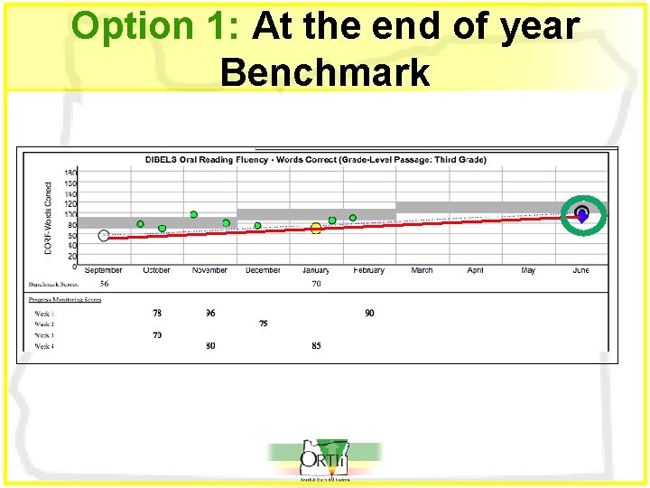 Option 1: At the end of year Benchmark 