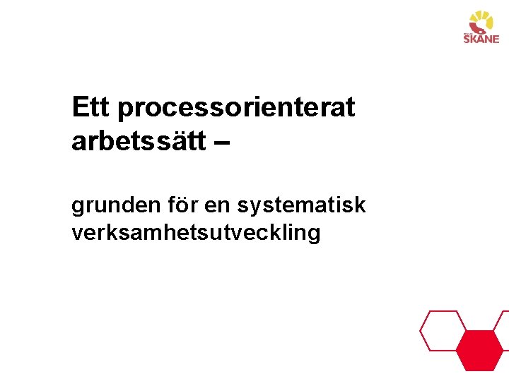 Ett processorienterat arbetssätt – grunden för en systematisk verksamhetsutveckling 