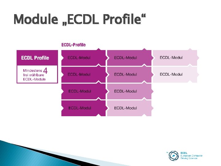Module „ECDL Profile“ 