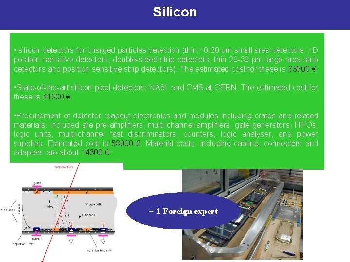 Silicon • silicon detectors for charged particles detection (thin 10 -20 μm small area