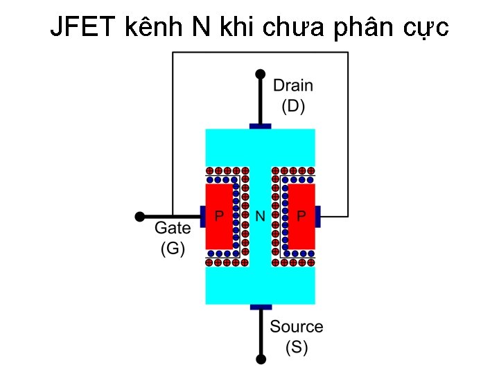 JFET kênh N khi chưa phân cực 